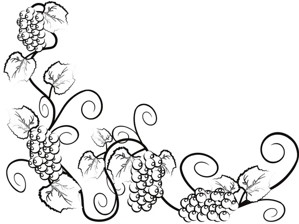 Фон виноградной лозы — стоковый вектор