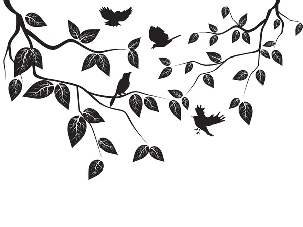 Leaves and birds — Stockvector