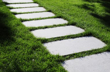 Stone path in the meadow clipart