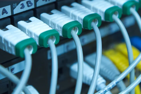 Ethernet кабелі — стокове фото