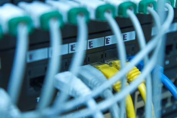Ethernet kábel — Stock Fotó