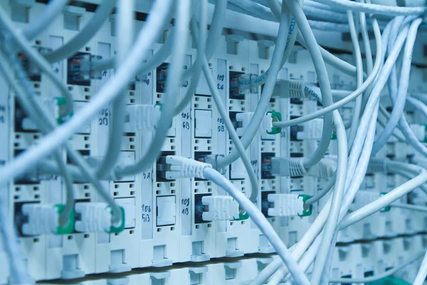 Cables Ethernet —  Fotos de Stock