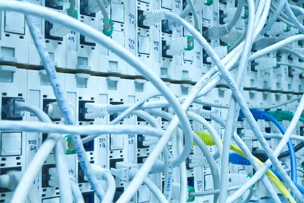 Ethernet кабелі — стокове фото