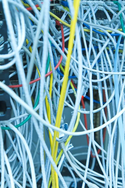 Cables Ethernet — Foto de Stock