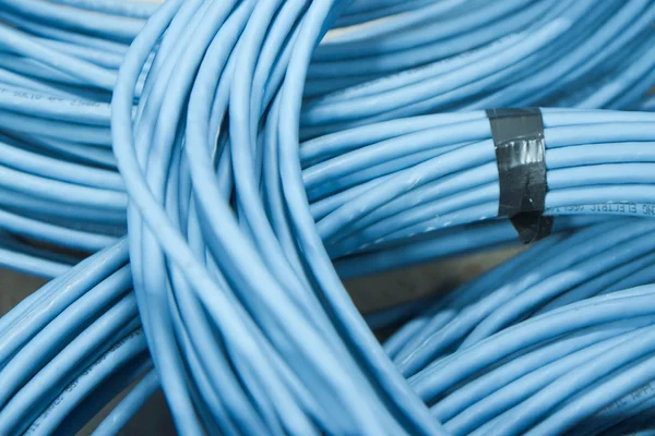 Network cables — Stock Photo, Image