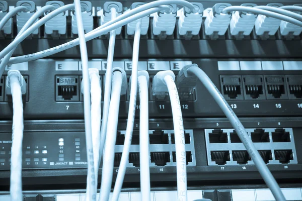 Câbles Ethernet — Photo