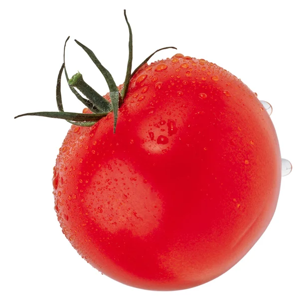 Tomatoe — 스톡 사진