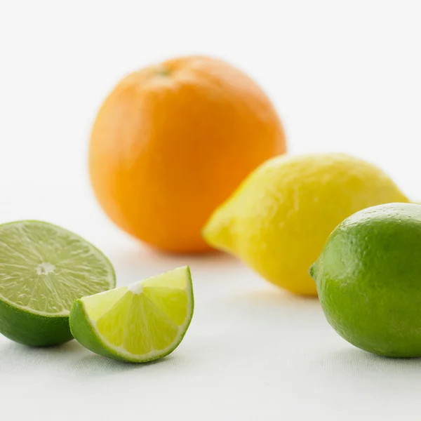 柑橘果实的集 — 图库照片