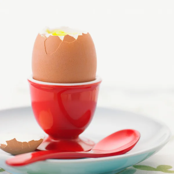 stock image Cooked egg