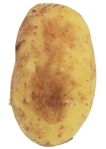 stock image Potato