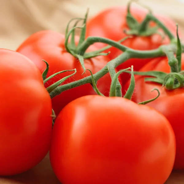 Tomatoe — 스톡 사진