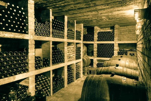 Şarap mahzeni — Stok fotoğraf