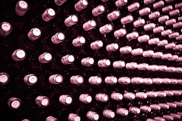 Wijnflessen — Stockfoto