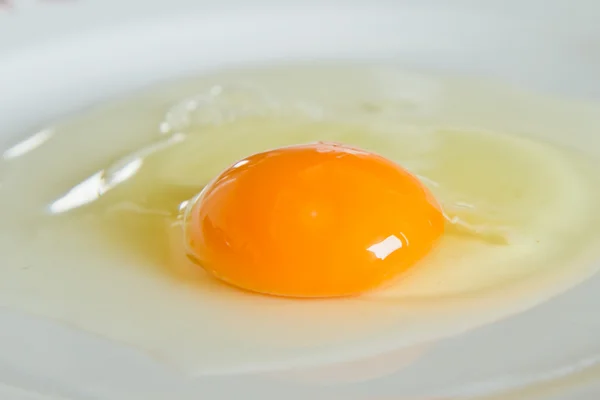 stock image Egg yolk