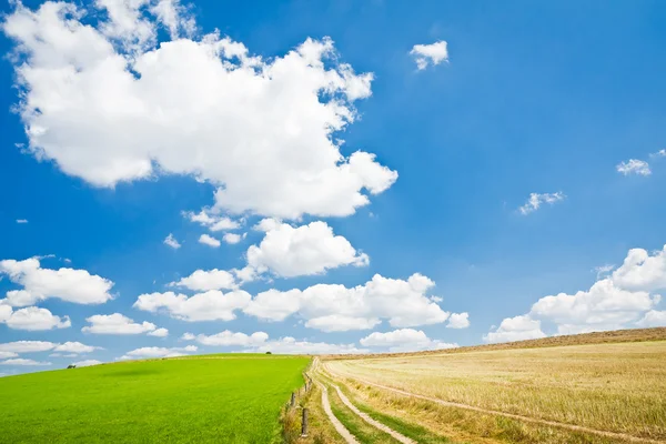 Landbouw landschap — Stockfoto