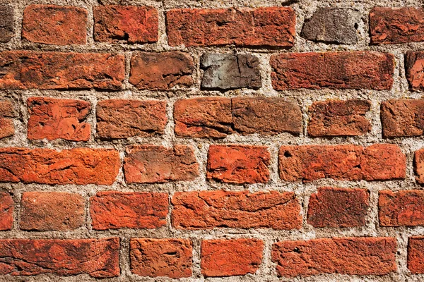 stock image Brick wall