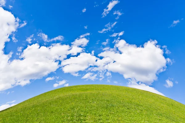 stock image Green field