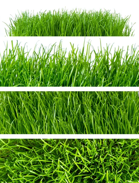 Gras achtergronden — Stockfoto