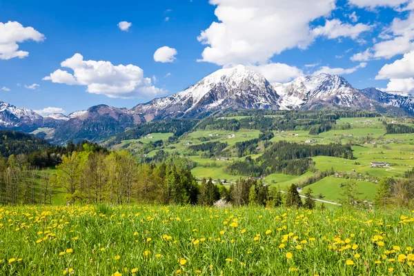 Alpine landscape — Stock Photo, Image