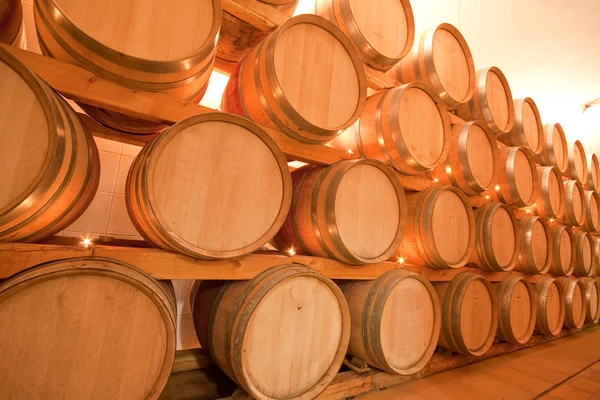 Barris de vinho — Fotografia de Stock