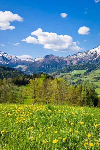 Alpine Landschaft — Stockfoto