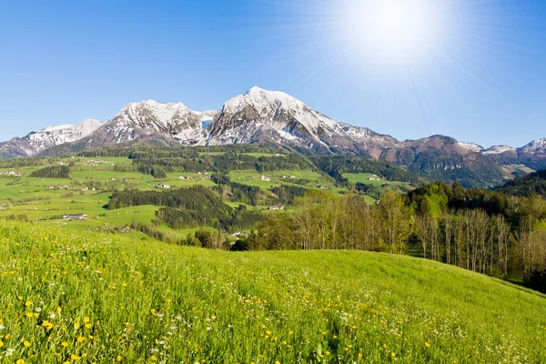 Alpine landscape — Stock Photo, Image