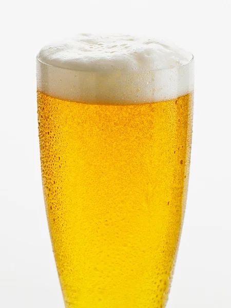 stock image Glass of beer