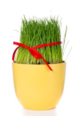 Easter grass clipart