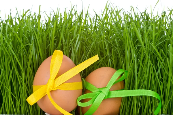 Пасхальное яйцо и трава — стоковое фото