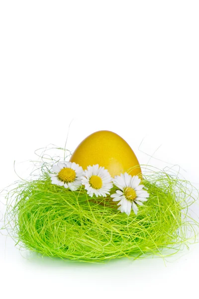 Oeuf de Pâques dans le nid — Photo