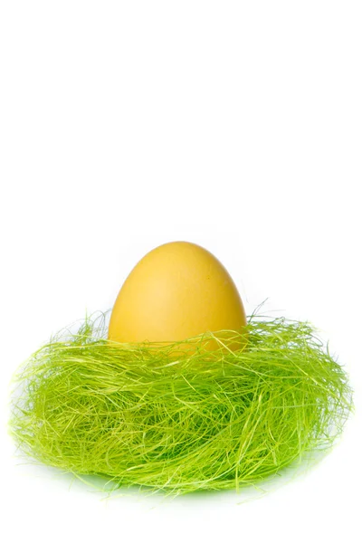 Velikonoční vejce v hnízdě — Stock fotografie