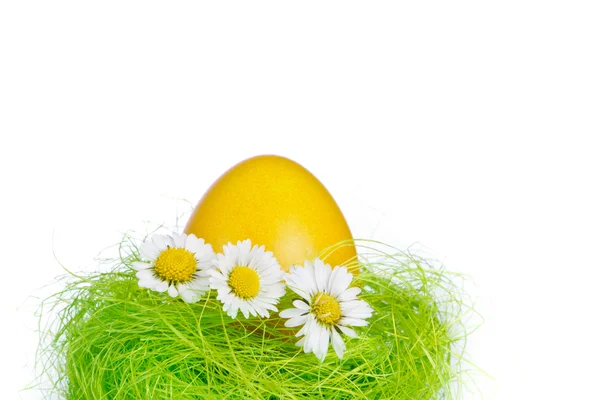 Uovo di Pasqua nel nido — Foto Stock