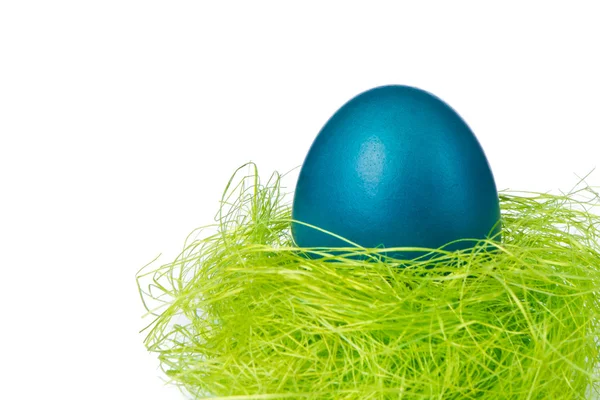 Easter egg in nest — Stock Photo, Image