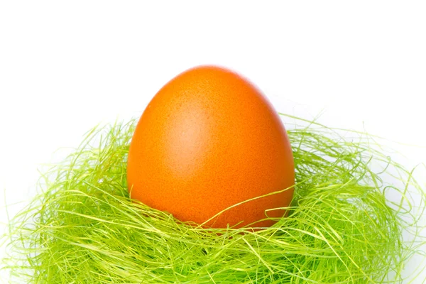 Αυγό πασχαλιάς στη φωλιά — Φωτογραφία Αρχείου