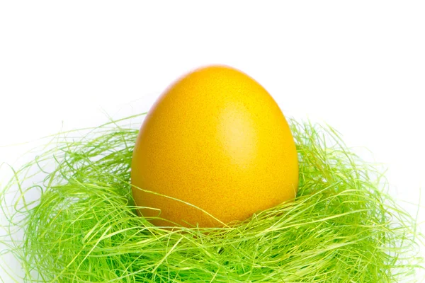 Αυγό πασχαλιάς στη φωλιά — Φωτογραφία Αρχείου