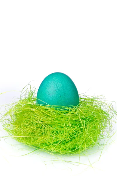 Huevo de Pascua en el nido — Foto de Stock
