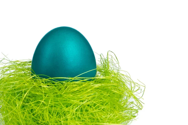 Jaja wielkanocne w gnieździe — Zdjęcie stockowe