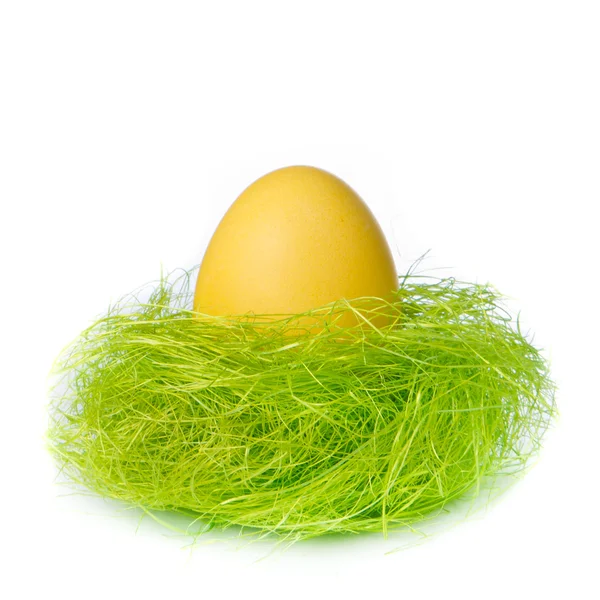 Пасхальне яйце в гнізді — стокове фото