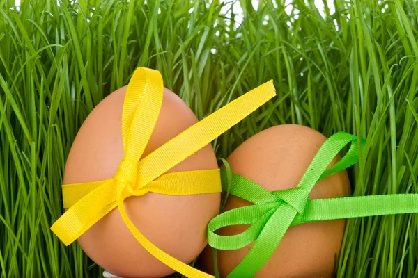 Velikonoční vajíčko a trávy — Stock fotografie