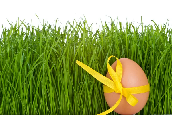 Easter egg and grass — Stock Photo, Image
