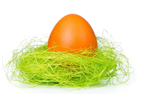 Huevo de Pascua en el nido — Foto de Stock