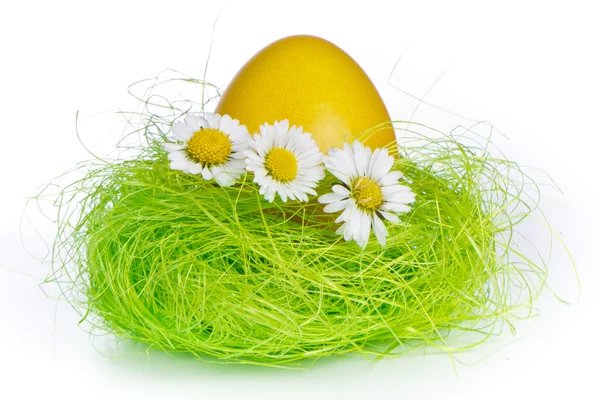 Пасхальное яйцо в гнезде — стоковое фото