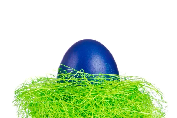 Huevo de Pascua en el nido —  Fotos de Stock