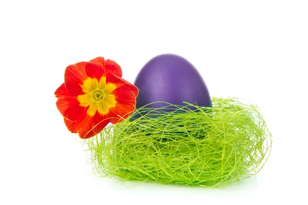 Пасхальное яйцо в гнезде — стоковое фото
