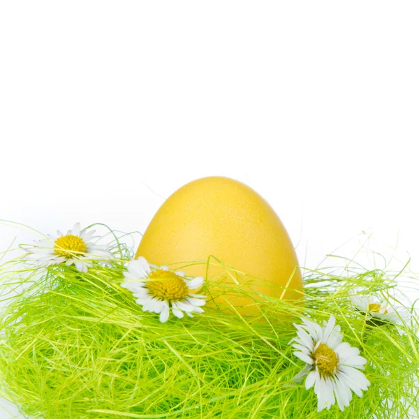 Easter egg in nest — Stock Photo, Image