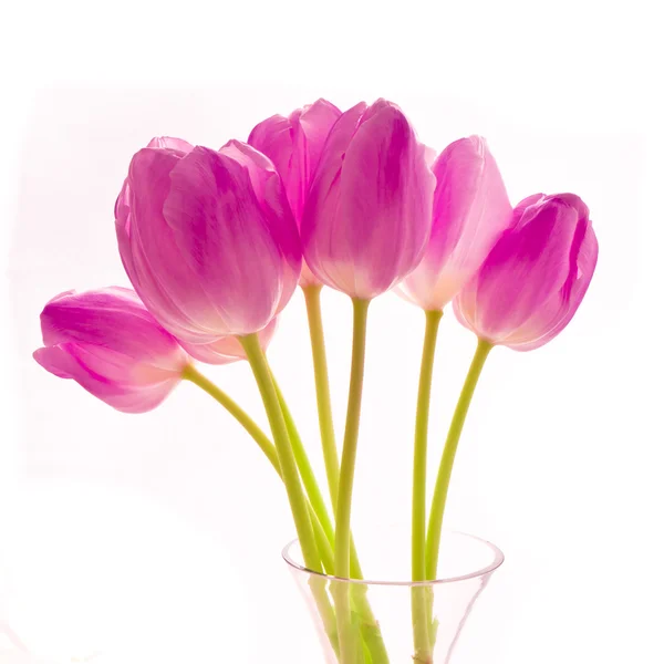 Букет з тюльпанів — стокове фото
