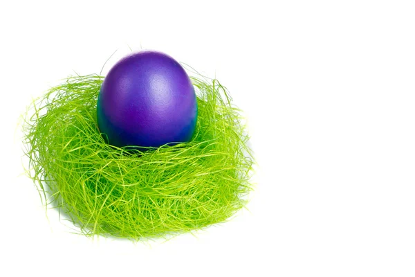 Uovo di Pasqua nel nido — Foto Stock