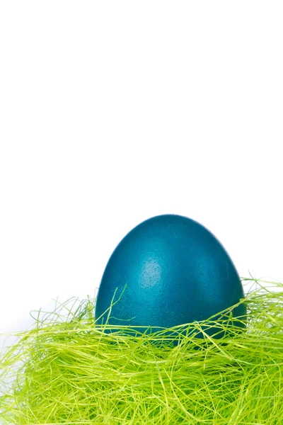 stock image Easter egg in nest