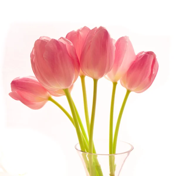 Mazzo di tulipani — Foto Stock
