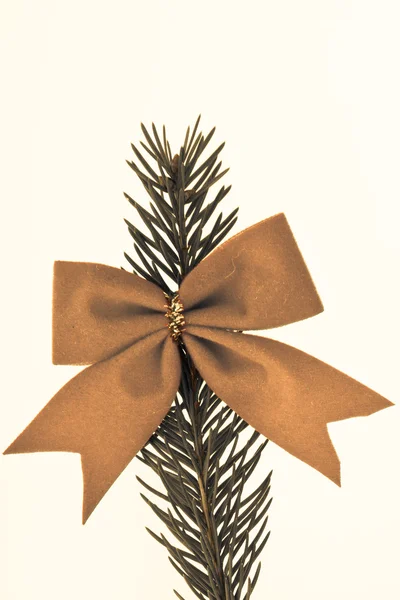 Διακοσμημένο χριστουγεννιάτικο δέντρο υποκατάστημα — Φωτογραφία Αρχείου